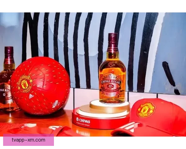 世界杯竞猜赔率深度解析及策略推荐助你赢得投注胜利