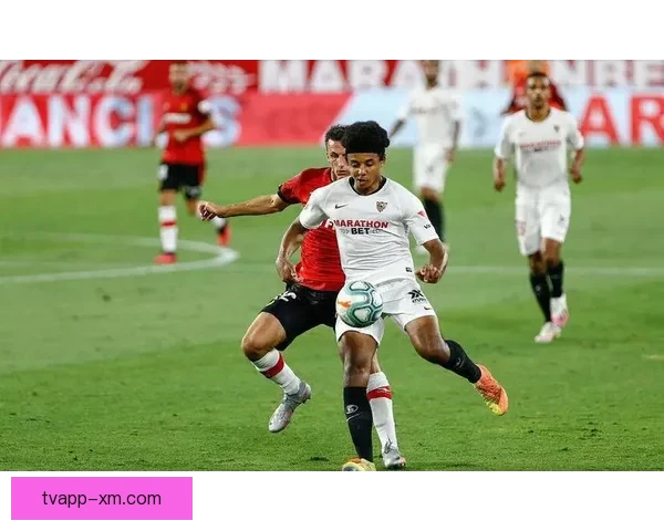 马洛卡震撼全场夺冠彰显无可争议的荣耀与声望