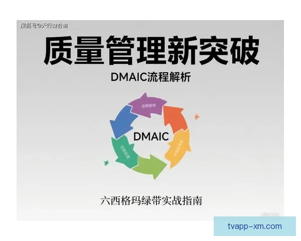 世界杯竞猜赔率网站深度解析与实战指南助你把握赛场数据投注技巧