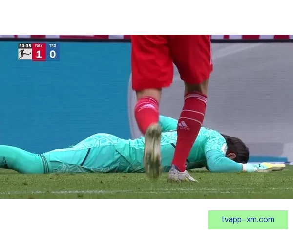 申京疑似腰部受伤比赛中多次捂腰一度被迫返回更衣室